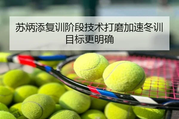 苏炳添复训阶段技术打磨加速冬训目标更明确
